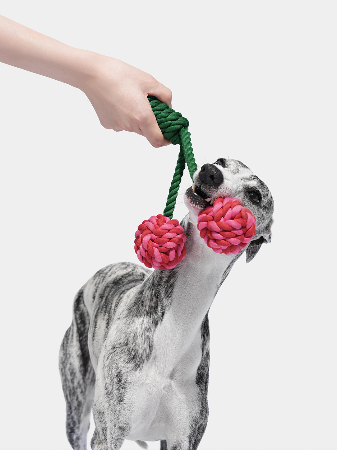 Cherry Knot Rope Toy