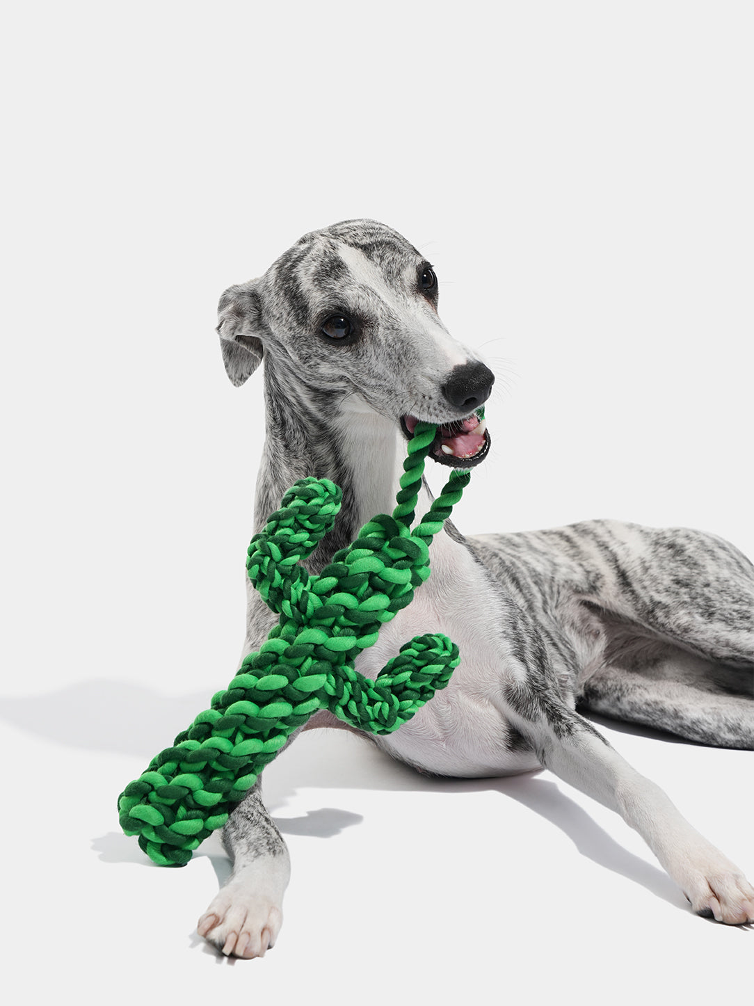 Oasis Cactus Knot Rope Toy