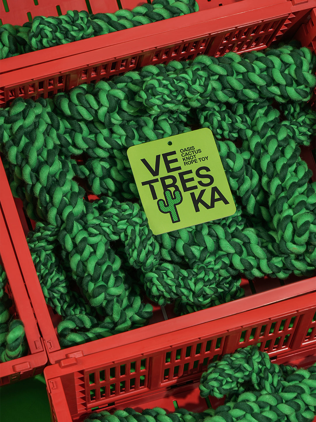 Oasis Cactus Knot Rope Toy