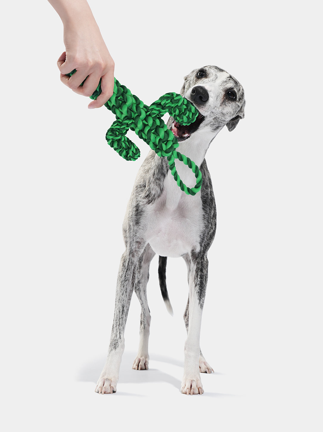 Oasis Cactus Knot Rope Toy