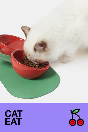 Vetreska Cat 
