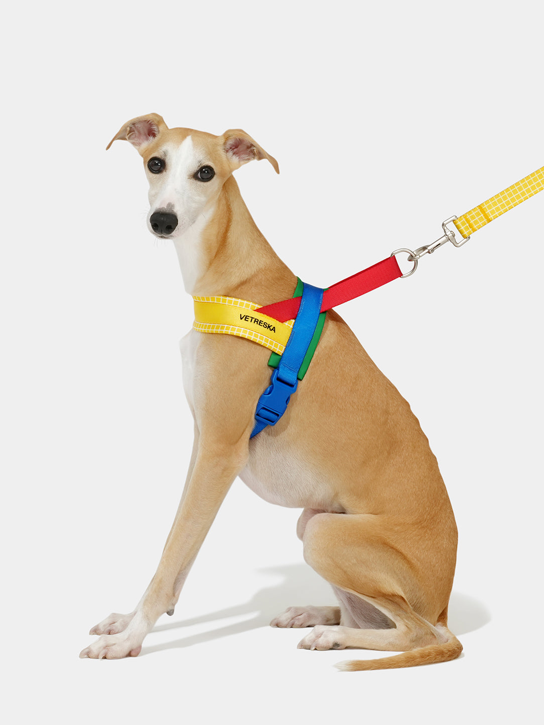 Chroma Pet HarnessS & Leash Set-Yellow