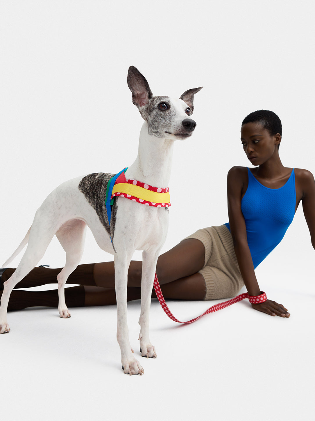 Chroma Pet Harness & Leash Set-Red