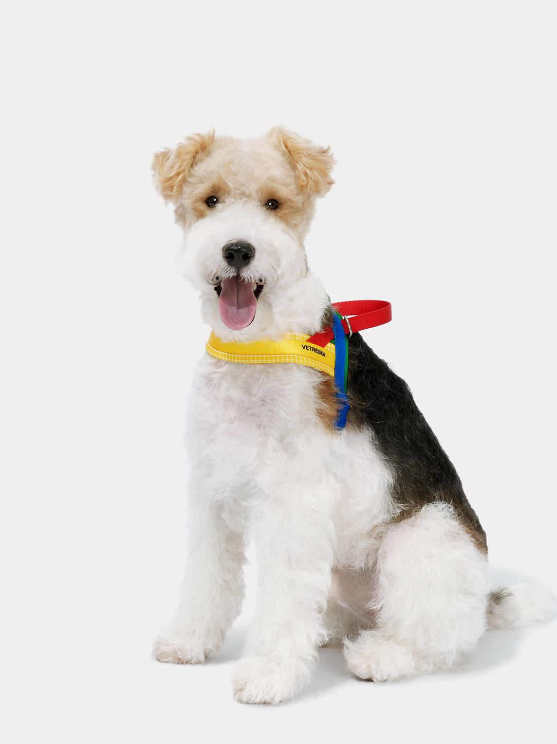 Chroma Pet HarnessS & Leash Set-Yellow