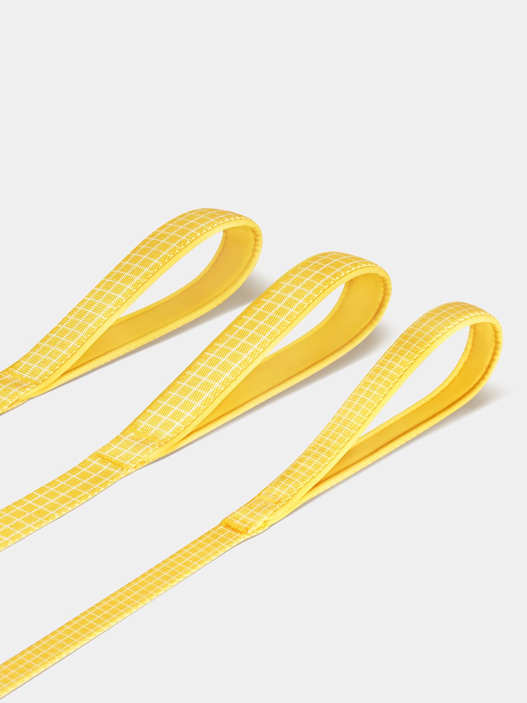 Chroma Pet HarnessS & Leash Set-Yellow