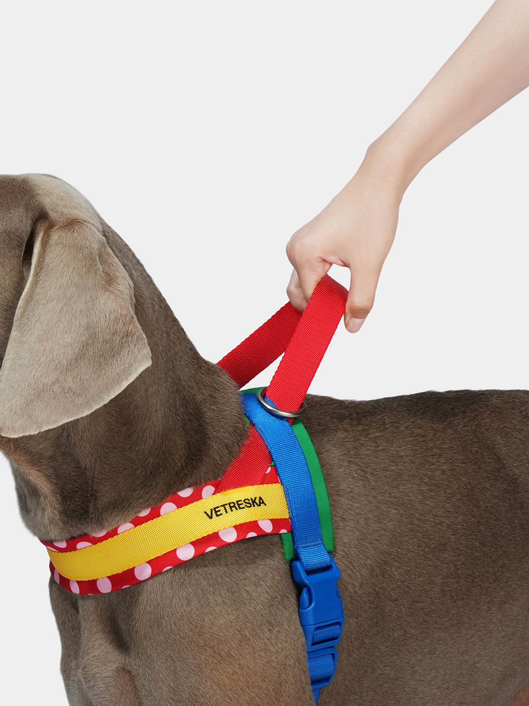 Chroma Pet Harness & Leash Set-Red