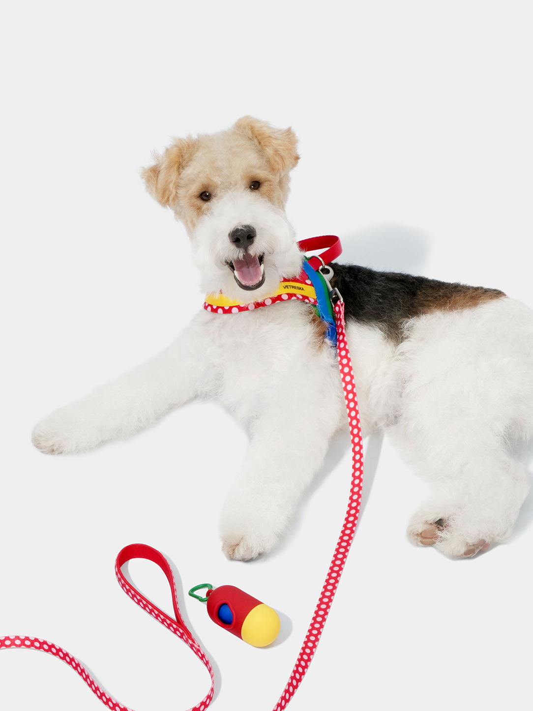 Chroma Pet Harness & Leash Set-Red