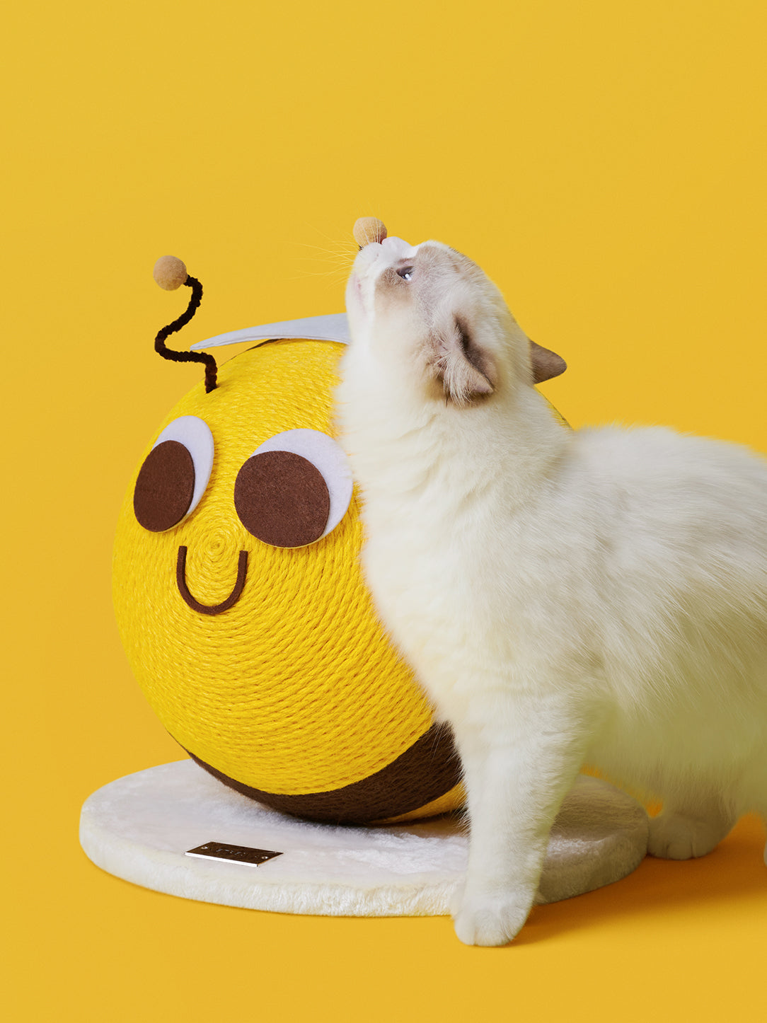 Bee Cat Scratching Ball