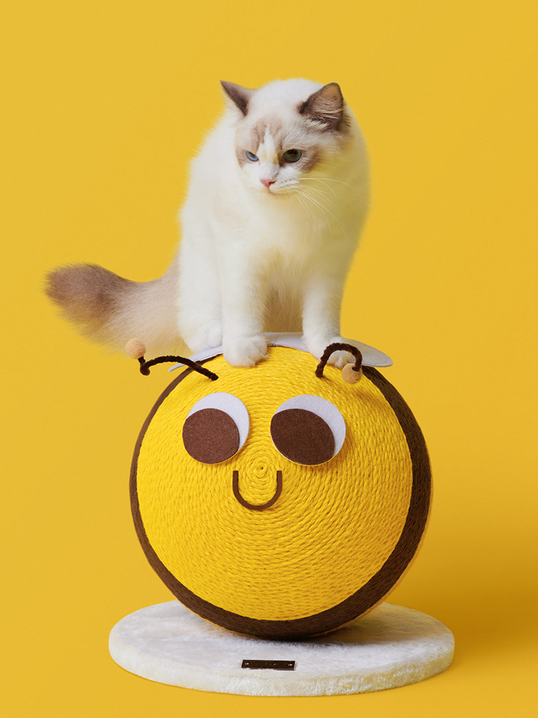 Bee Cat Scratching Ball