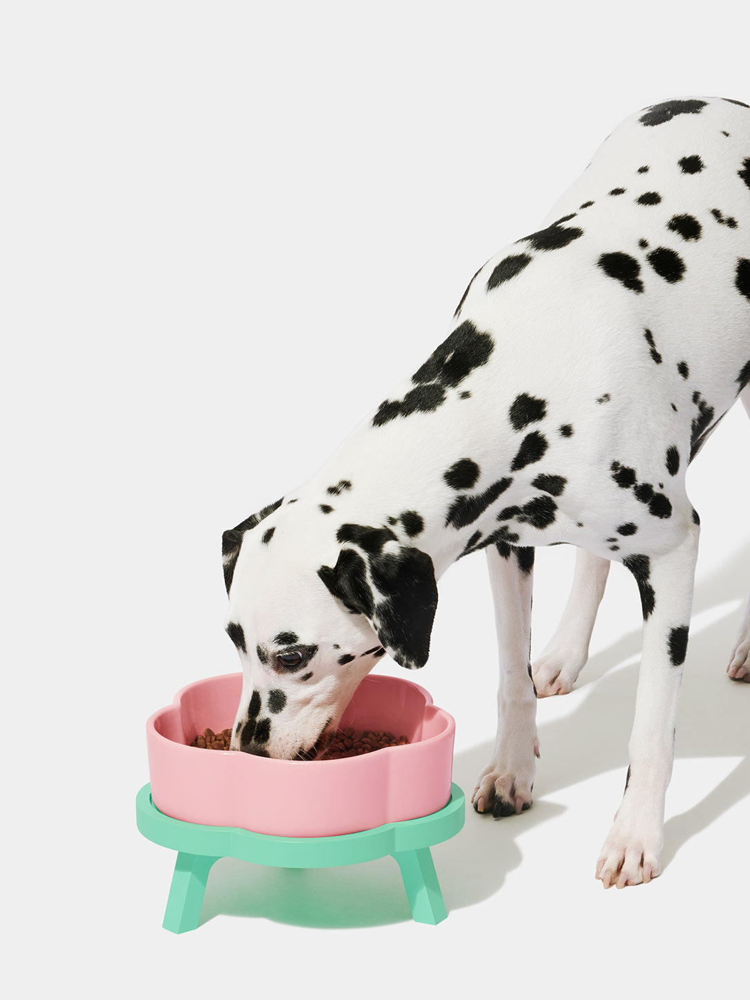 Flora Ceramic Pet Bowl