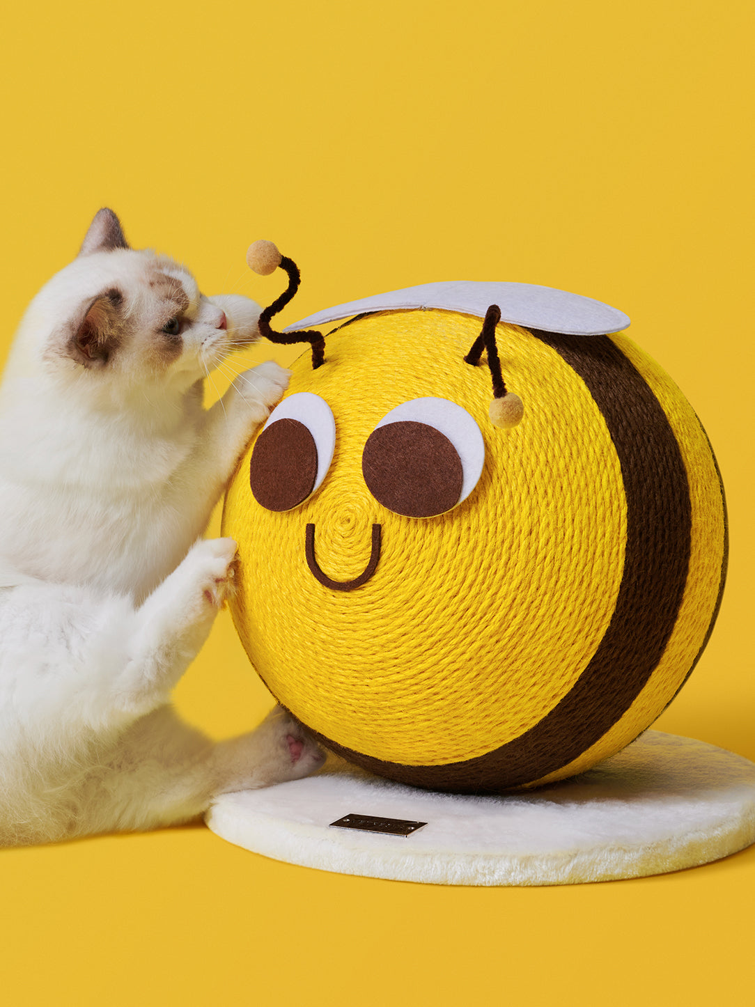 Bee Cat Scratching Ball