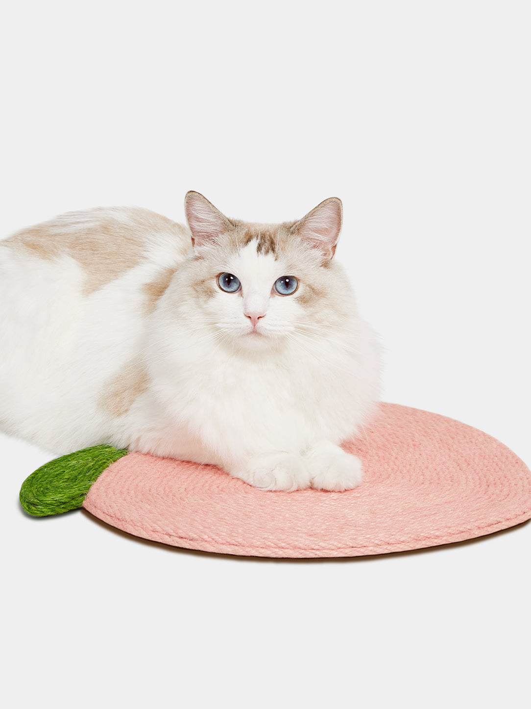 Blooming Peach Cat Scratching Board
