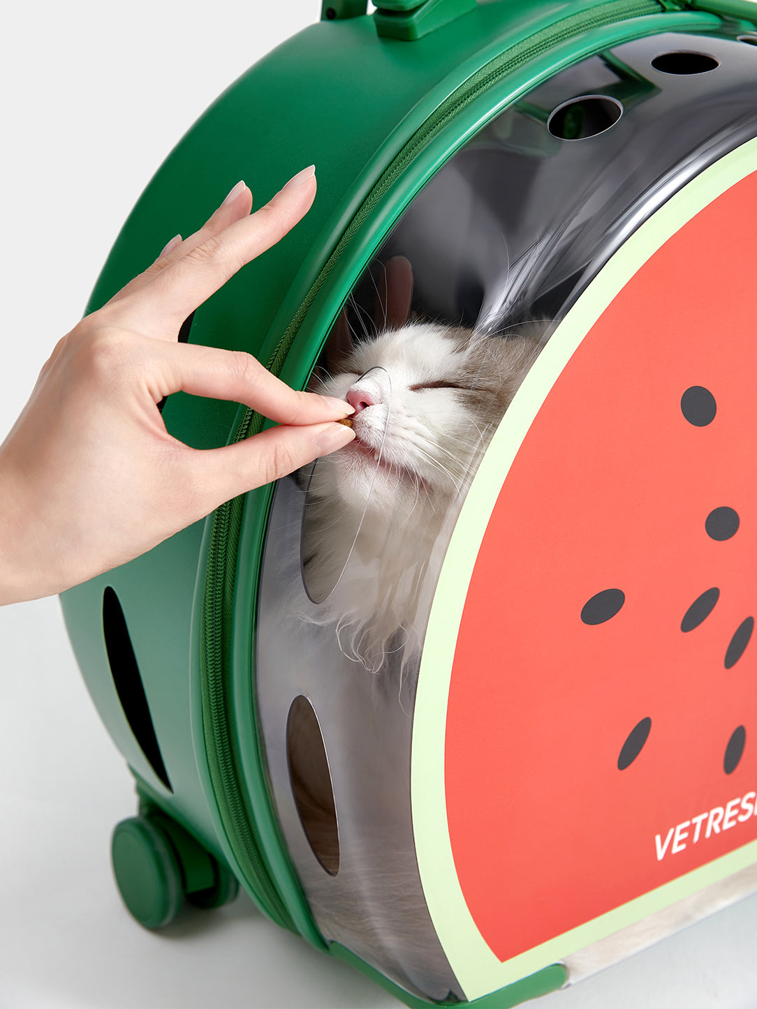 Bubble Pet Carrier - Green