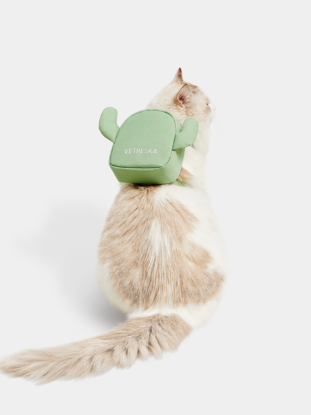 Oasis Cactus Pet Harness Backpack With Leash