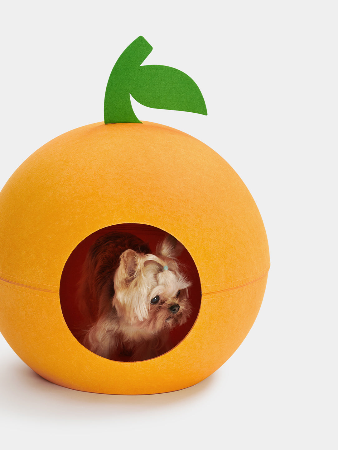 Tangerine Felt Pet Bed