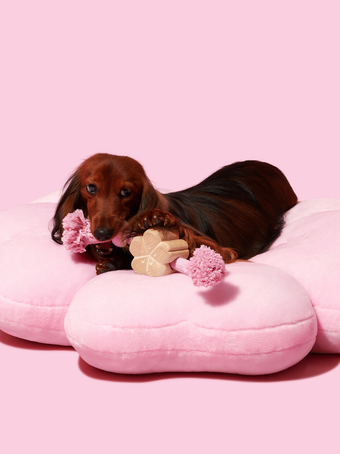 Cherry Blossom Knot Rope Toy