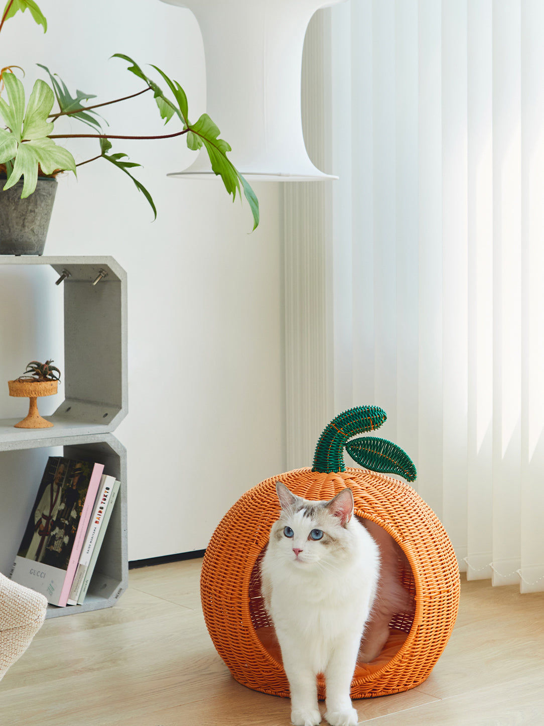 Vetreska-Tangerine Rattan Pet Bed